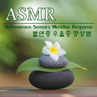 ASMR 불면증 우울증 명상법