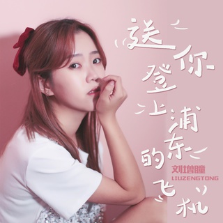 送你登上浦东的飞机 lyrics | Boomplay Music