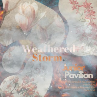 Weathered Storm. lyrics | Boomplay Music