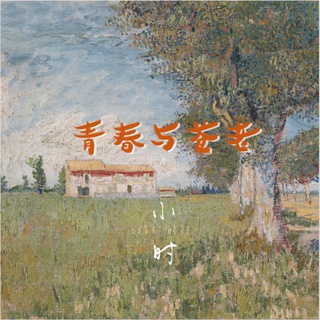 青春与苍老 (伴奏) lyrics | Boomplay Music