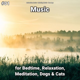 #01 Music for Bedtime, Relaxation, Meditation, Dogs & Cats
