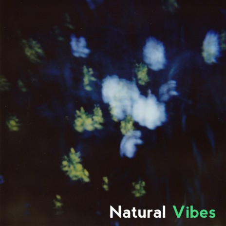Natural Vibes