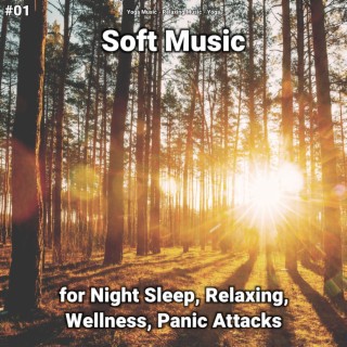 #01 Soft Music for Night Sleep, Relaxing, Wellness, Panic Attacks