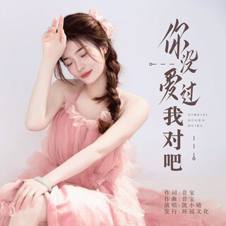 你没爱过我对吧 (DJ彭锐版伴奏) lyrics | Boomplay Music