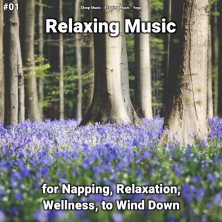 #01 Relaxing Music for Napping, Relaxation, Wellness, to Wind Down
