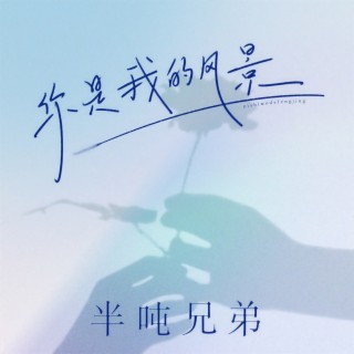 你是我的风景 (伴奏) lyrics | Boomplay Music