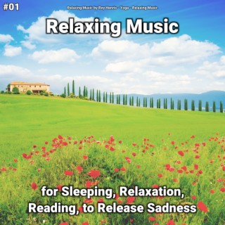 #01 Relaxing Music for Sleeping, Relaxation, Reading, to Release Sadness