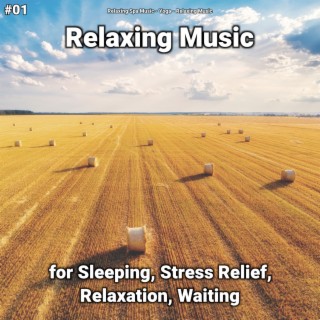 #01 Relaxing Music for Sleeping, Stress Relief, Relaxation, Waiting