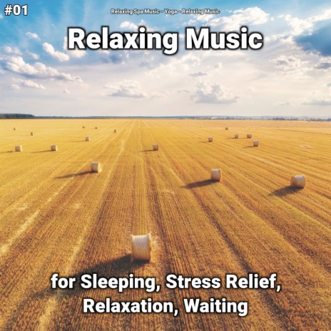 Unwinding Deep Sleep Music ft. Relaxing Spa Music & Relaxing Music | Boomplay Music