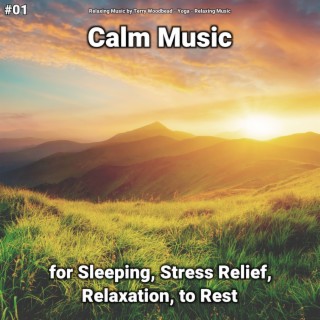 #01 Calm Music for Sleeping, Stress Relief, Relaxation, to Rest