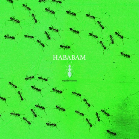 Hababam | Boomplay Music