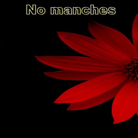 No manches | Boomplay Music