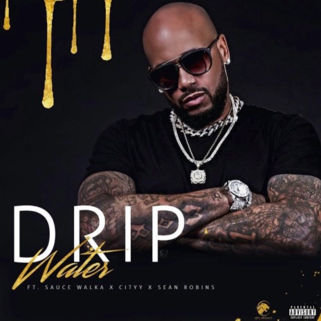 DRIP ft. Sean Robins, Cityy & Sauce Walka | Boomplay Music