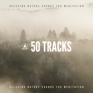 50 Tracks: Relaxing Nature Sounds for Meditation – Birds, Crickets & Jungle