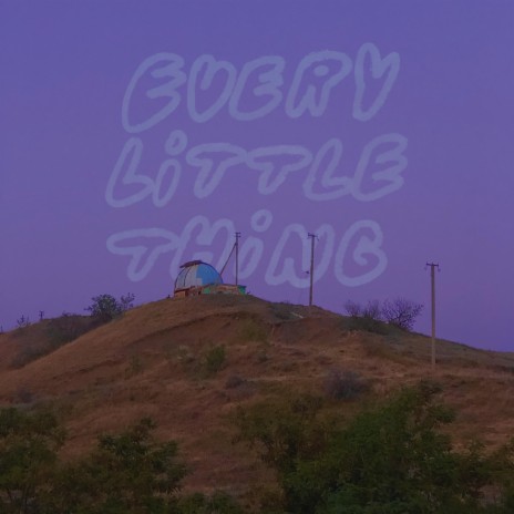 Every Little Thing | Boomplay Music