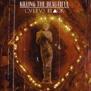 Killing the Beautiful