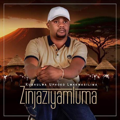 Vela bakubone ft. Shwi Mantombazane | Boomplay Music