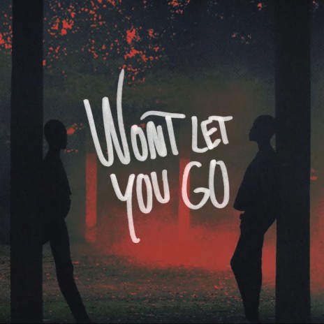 Won't let you go | Boomplay Music