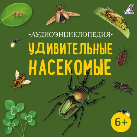 «Ленточки» на крыльях