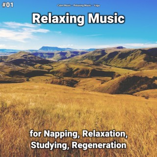 #01 Relaxing Music for Napping, Relaxation, Studying, Regeneration