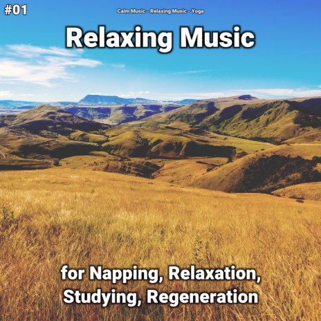 Sleep Music ft. Calm Music & Relaxing Music | Boomplay Music