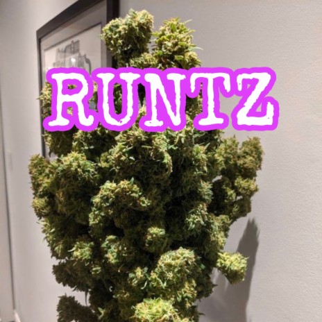 RUNTZ | Boomplay Music