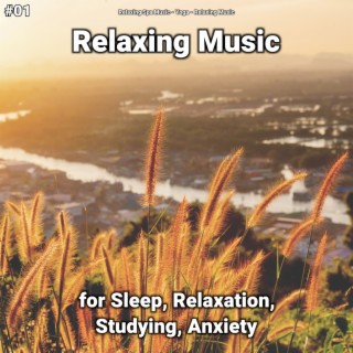 #01 Relaxing Music for Sleep, Relaxation, Studying, Anxiety