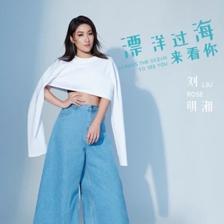 漂洋过海来看你 (DJ Candy版) lyrics | Boomplay Music