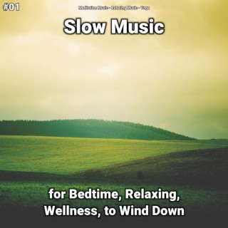 #01 Slow Music for Bedtime, Relaxing, Wellness, to Wind Down