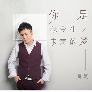 你是我今生未完的梦 (伴奏) lyrics | Boomplay Music