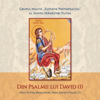 Din Psalmii lui David, vol. 1