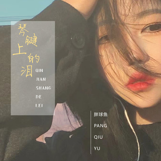 琴键上的泪 (伴奏) lyrics | Boomplay Music