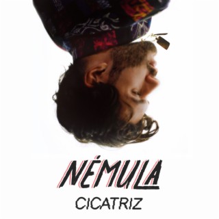 Cicatriz