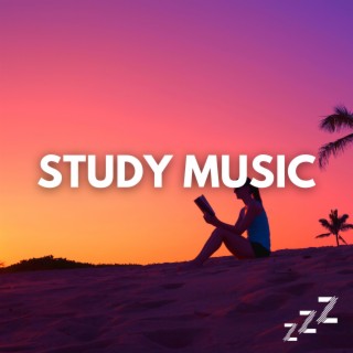 1 Hour of Study Piano Music for Concentration & Nature Sounds (Loopable, No Fade)