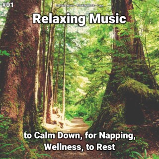 #01 Relaxing Music to Calm Down, for Napping, Wellness, to Rest
