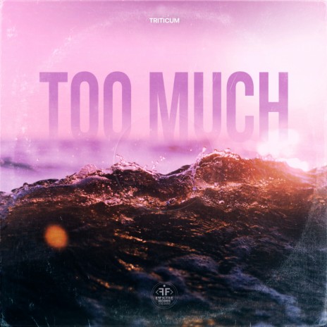 Too Much | Boomplay Music