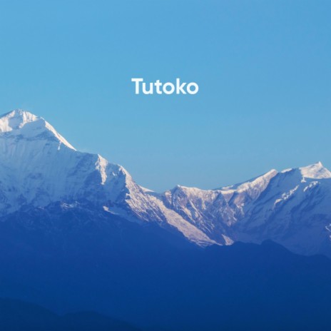 Tutoko | Boomplay Music