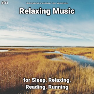 #01 Relaxing Music for Sleep, Relaxing, Reading, Running