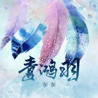 青鸿羽 lyrics | Boomplay Music