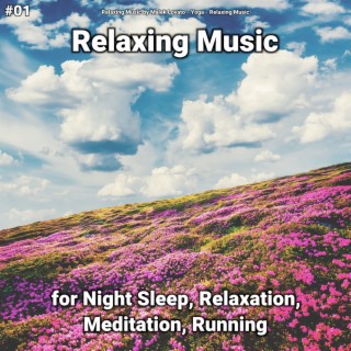#01 Relaxing Music for Night Sleep, Relaxation, Meditation, Running