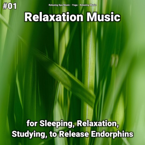 Relaxing Music for Sleeping ft. Relaxing Music & Relaxing Spa Music