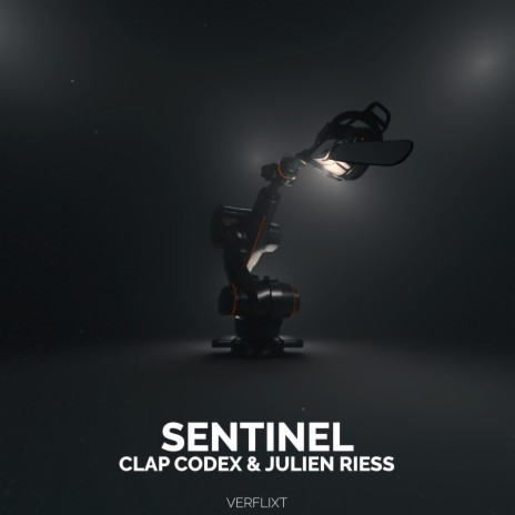 Sentinel (Original Mix) ft. Julien Riess | Boomplay Music