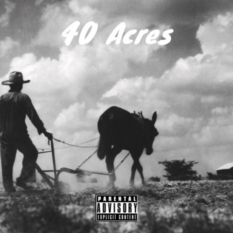 40 Acres | Boomplay Music