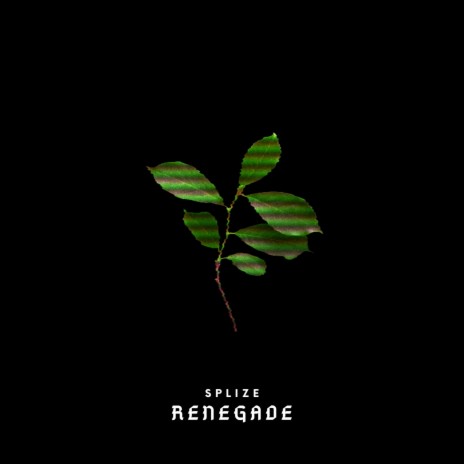 Renegade ft. Notize