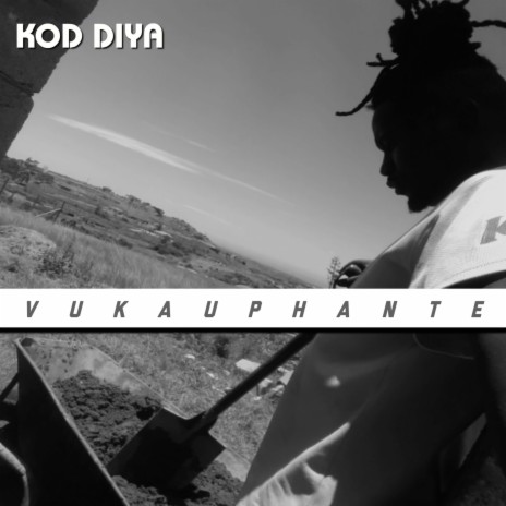 VUKA UPHANTE (Radio Edit) | Boomplay Music