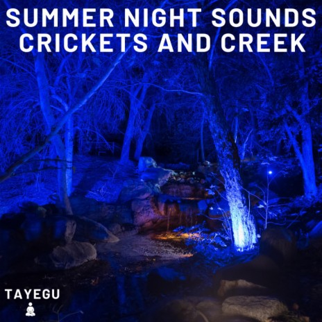 Summer Night Sounds Crickets and Creek 1 Hour Relaxing Nature Ambience Yoga Meditation Sounds For Sleeping Relaxation or Studying