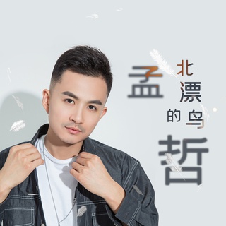 北漂的鸟 (伴奏) lyrics | Boomplay Music