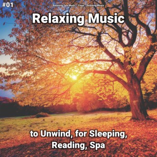 #01 Relaxing Music to Unwind, for Sleeping, Reading, Spa