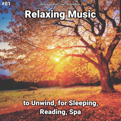 Deep Sleep Music ft. Relaxing Music & Relaxing Spa Music | Boomplay Music