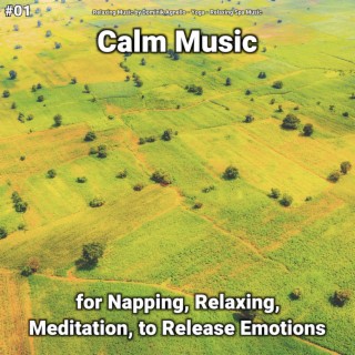 #01 Calm Music for Napping, Relaxing, Meditation, to Release Emotions
